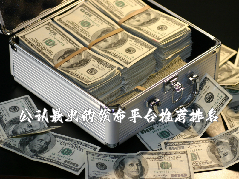 公认最火的发布平台排名